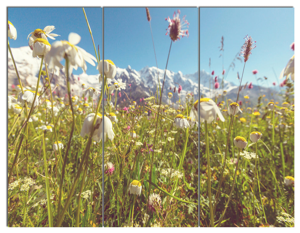 Blooming Mountain Meadow Flowers, Flower Canvas Art Print, 36x28, 3 Panels
