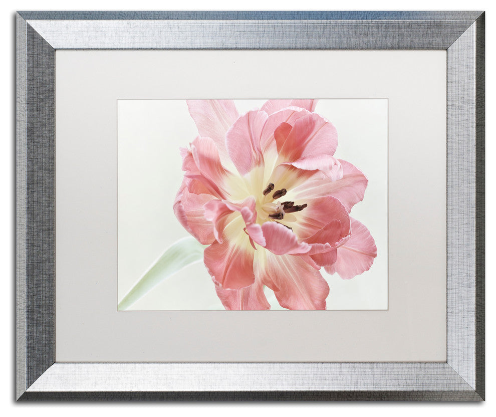 Cora Niele 'Red Tulip' Matted Framed Art