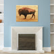"Roam I" Bison Wall Art Digital Print on Solid Wood