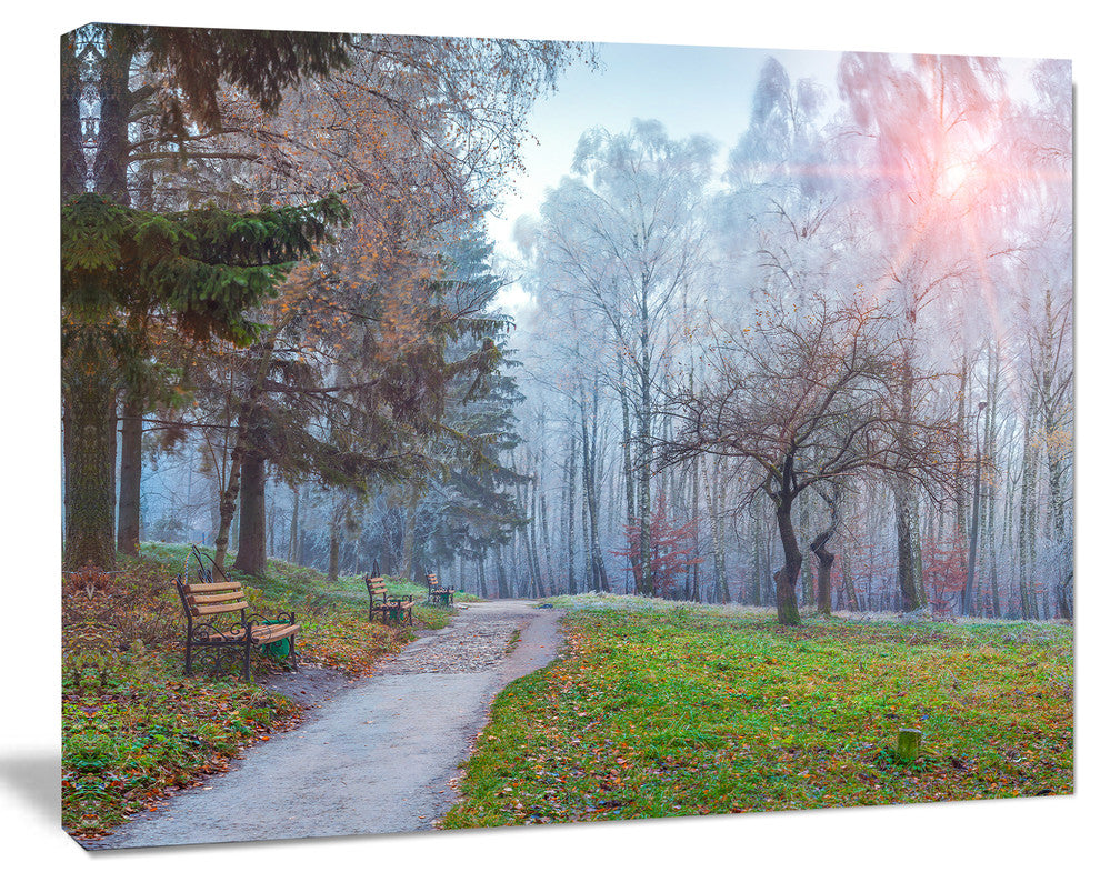 Bright Sun over Autumn Trees, Large Landscape Canvas Art Print, 60"x28"