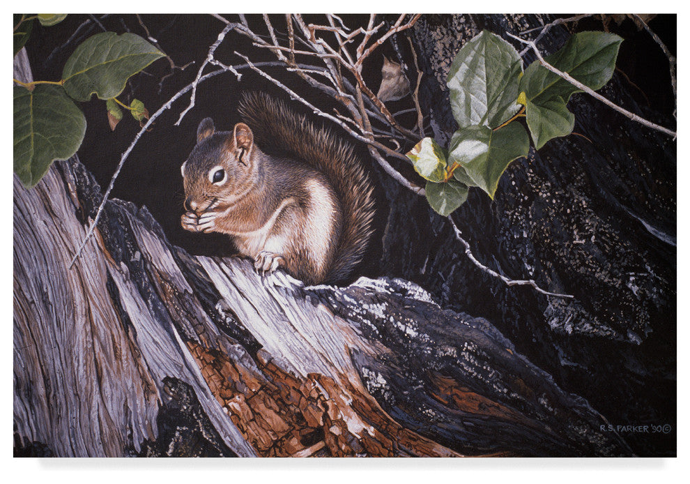 Ron Parker ''Red Squirrel In Salac'' Canvas Art, 19"x12"
