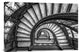"The Rookery" Stretched Canvas Giclee by Yimei Sun, 30"x20"