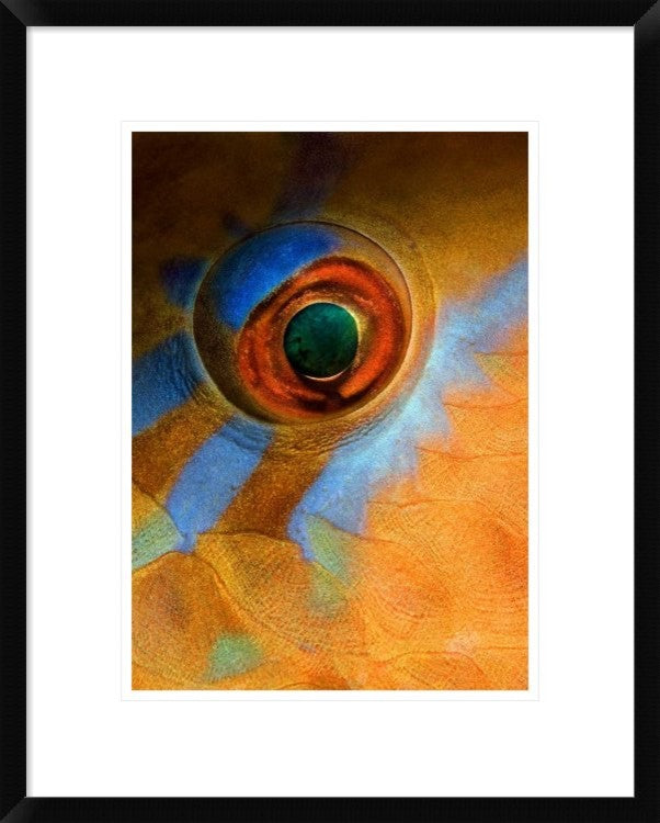 "Makeup" Framed Digital Print by Andrey Narchuk, 19x24"