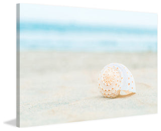 "Speckles and Sun" Painting Print on Wrapped Canvas