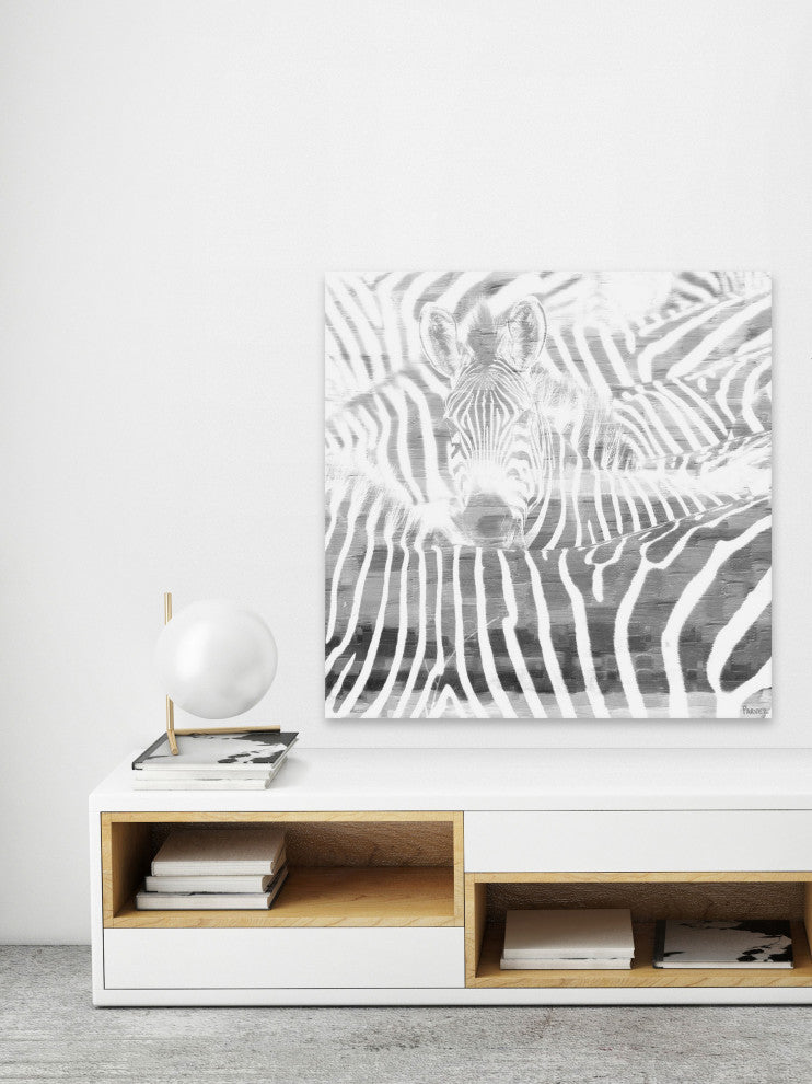 "Zebra Stare" Print on Canvas, 48"x48"