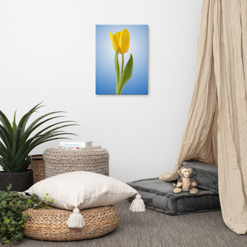 Yellow Tulip Minimal Botanical Floral Nature Photo Canvas Wall Art Print, 18" X 24"