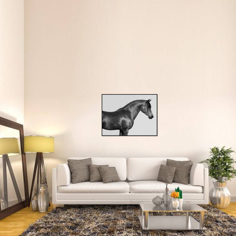 "Orpheus, Arab Horse" Framed Canvas Giclee by Pangea Images, 41x31"