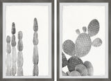 Textured Cactus Diptych, 2-Piece Set, 8x12 Panels