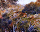 Pierre Auguste Renoir Algerian Landscape Wall Decal