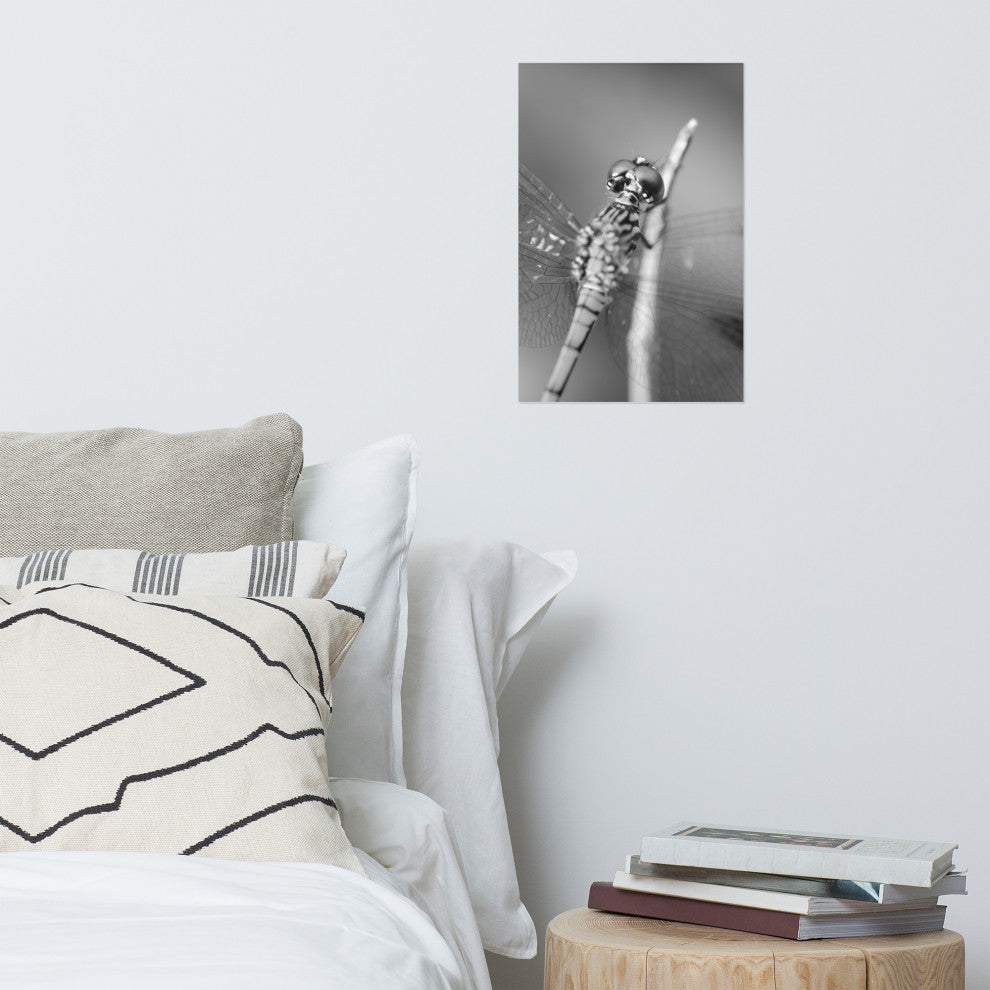 Dragonfly at Bombay Hook Black and White Unframed Wall Art Print, 12" X 18"