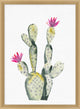Pink Blooming Cacti 4