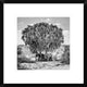 "Noon Meeting" Framed Digital Print by Marcel Rebro, 20"x20"