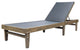 GDF Studio Della Outdoor Mesh Chaise Lounge With Acacia Wood Frame, Gray/Dark Gray