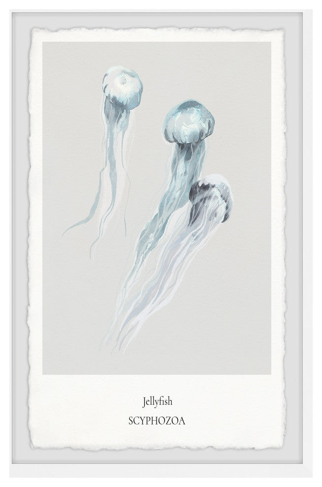 "Scyphozoa" Framed Painting Print, 8x12