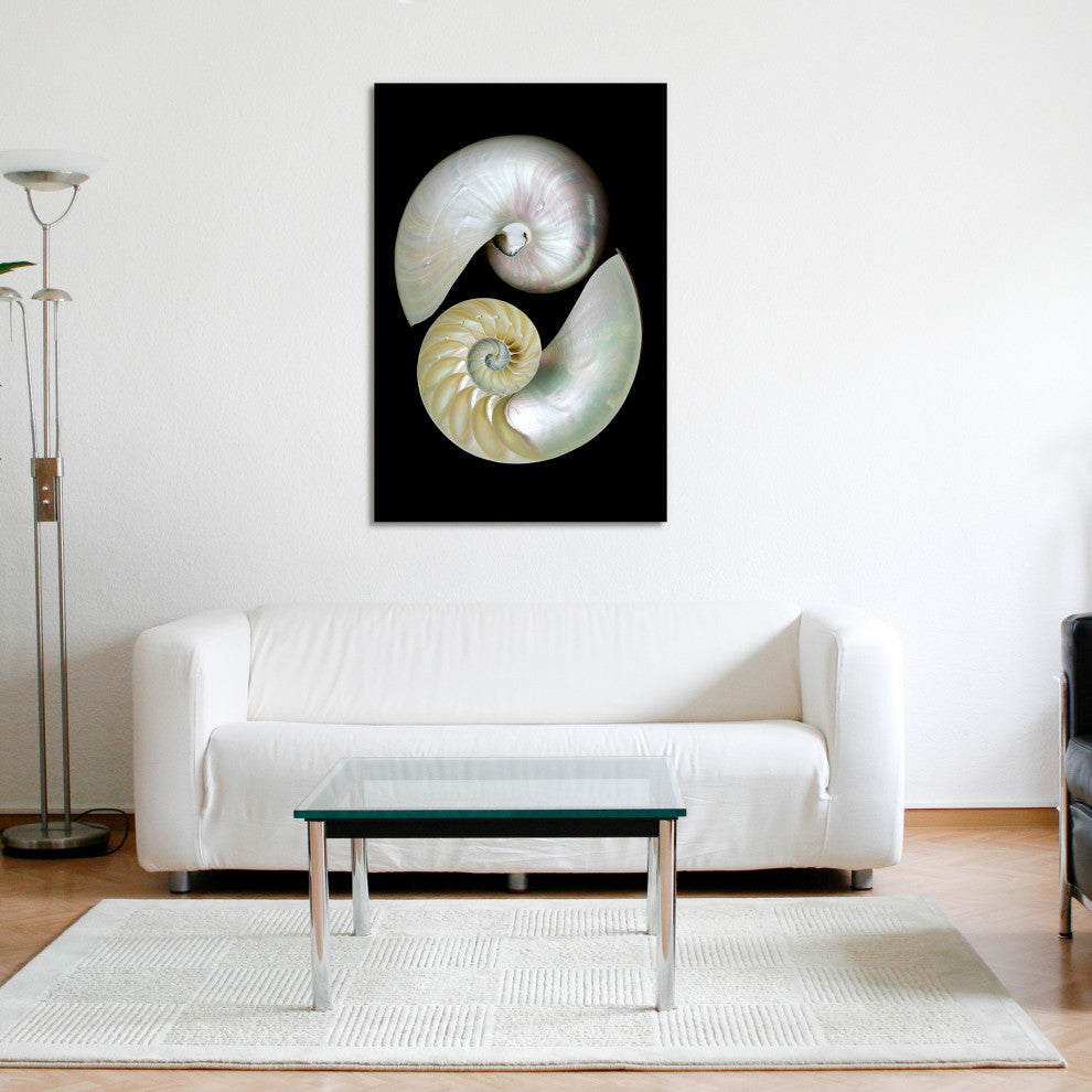 "Caracol" Frameless Free Floating Tempered Art Glass Wall Art 32 x 48"