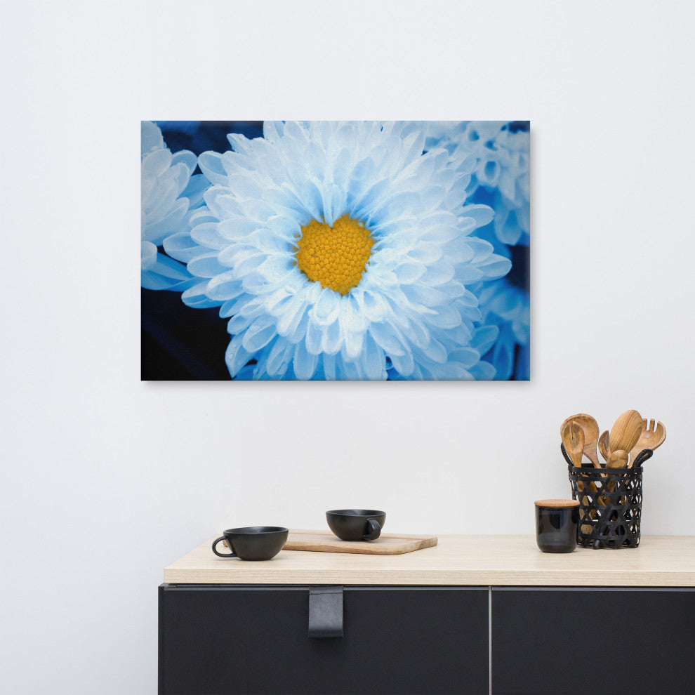 Blue Tinted Chrysanthemums Nature Photo Botanical Floral Canvas Wall Art Print, 24" X 36"