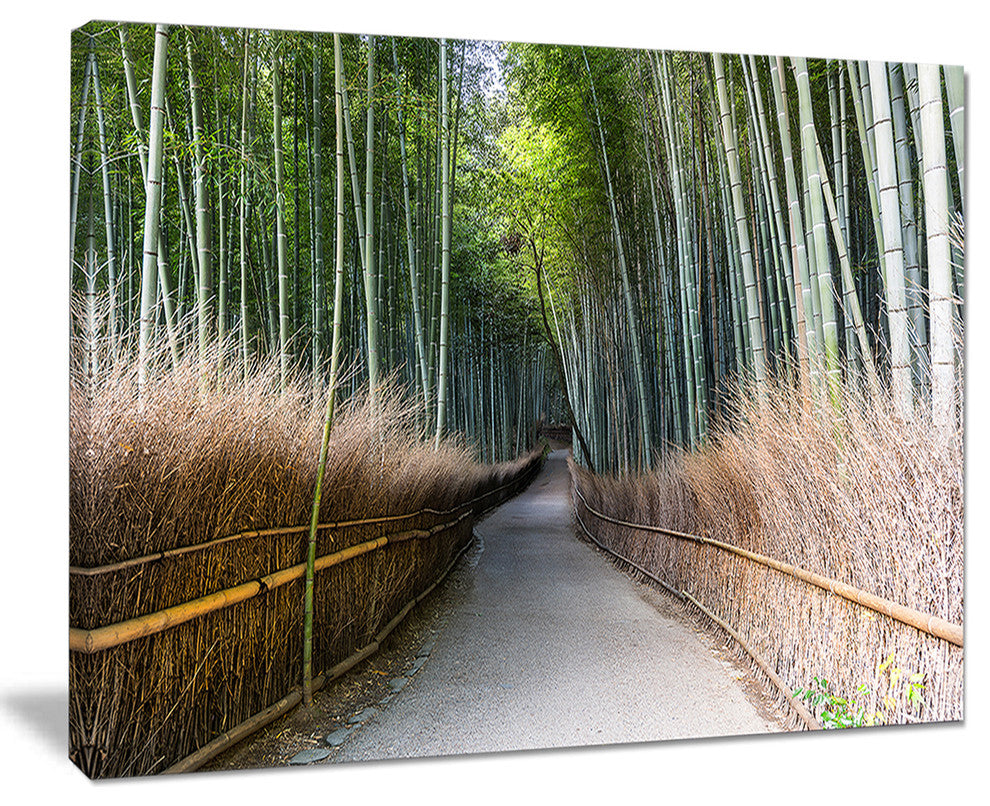 "Straight Path in Bamboo Forest" Forest Canvas Wall Art Print, 20"x12"