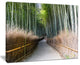 "Straight Path in Bamboo Forest" Forest Canvas Wall Art Print, 20"x12"
