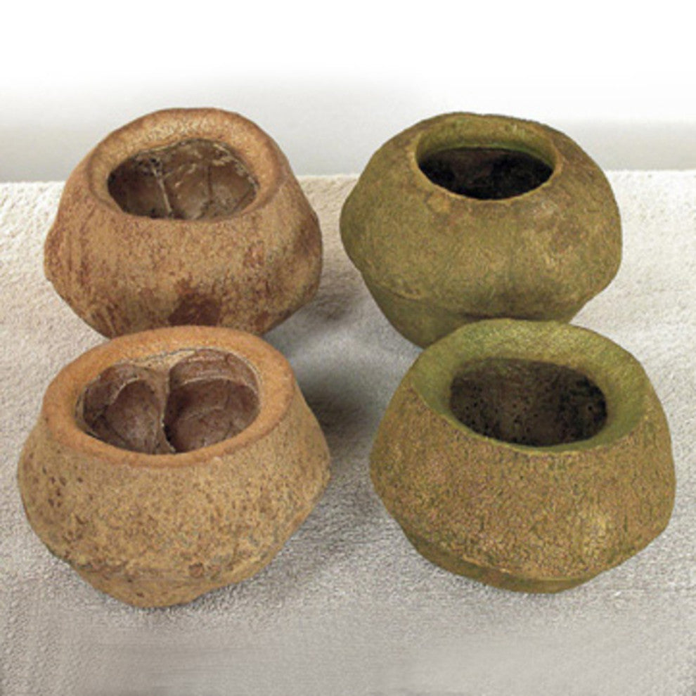 Vickerman 4" Sapa Pod, Dried