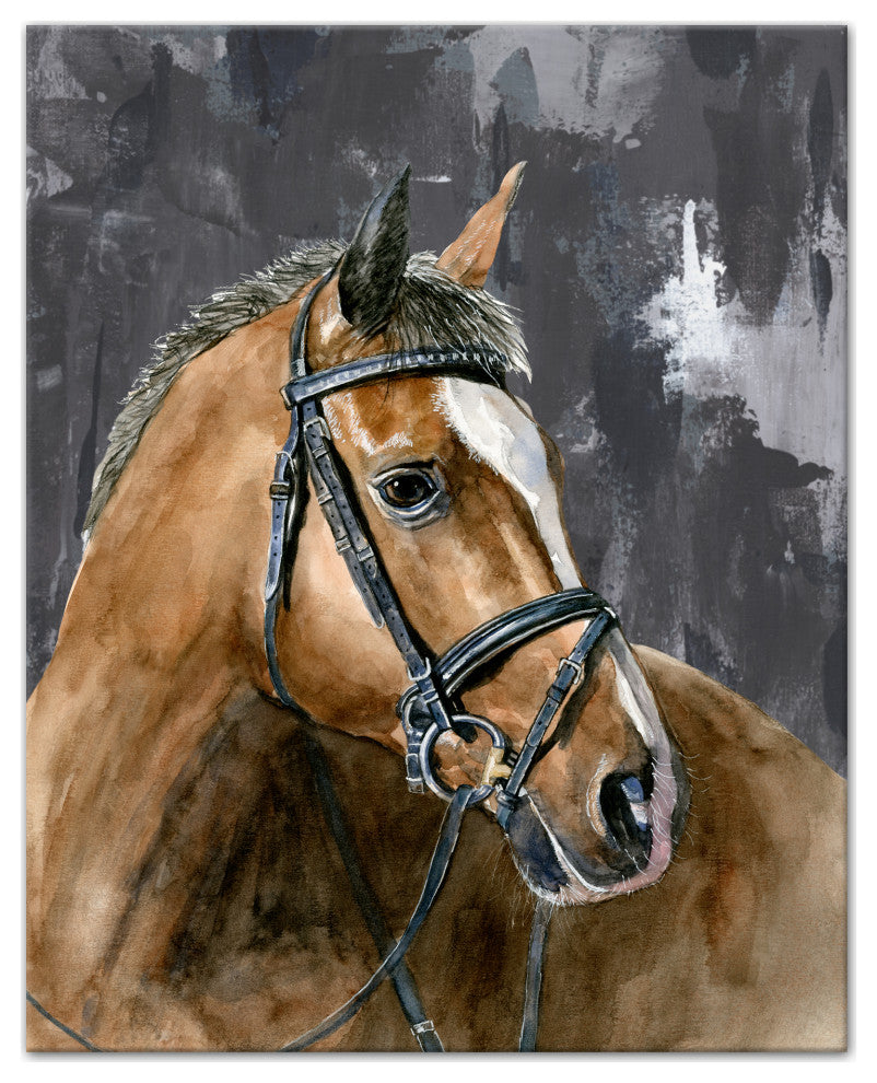 Mono Stoic Horse 16x20 Canvas Wall Art