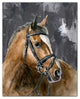 Mono Stoic Horse 16x20 Canvas Wall Art