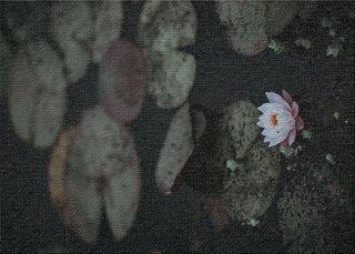 Meditation And Calming Moments 14 Area Rug, 5'0"x7'0"