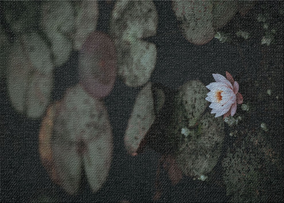 Meditation And Calming Moments 14 Area Rug, 5'0"x7'0"