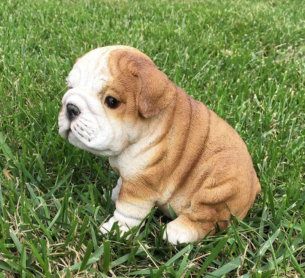 Realistic Bulldog Puppy Garden Statue