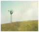 "Farm Morning IV" Digital Paper Print by Sue Schlabach, 22"x18"