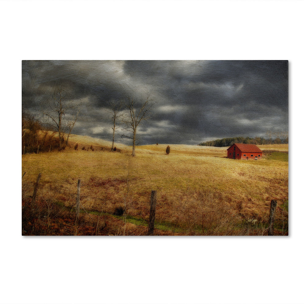 ''Winter Begins'' Canvas Art by Lois Bryan