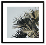 Satin Black 16" x 16" Sky High Palms Square Framed Print