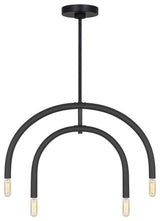 Hadden 4-Light Indoor Chandelier, Midnight Black