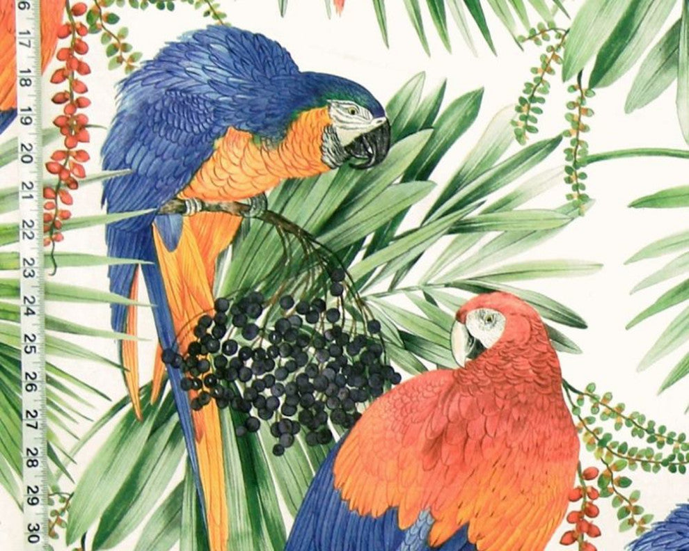 Tropical parrot jungle fabric macaw home decorating material , Standard Cut