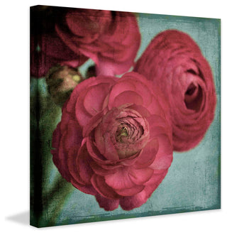 "Red Ranunculus" Painting Print on Canvas by Stalus