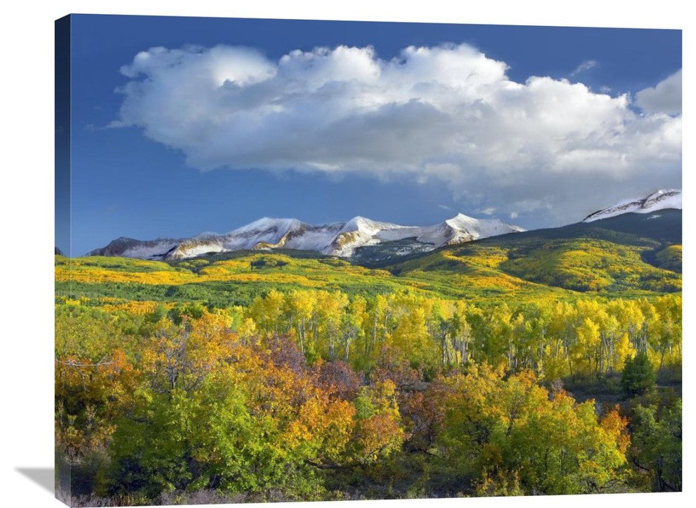 "East Beckwith Mountain Under Cumulus Clouds, Colorado" Artwork
