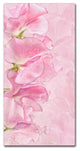 Cora Niele ''Pink Sweet Peas'' Canvas Art