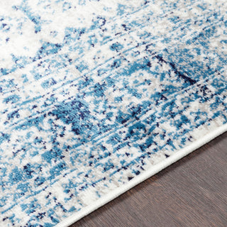 Monte Carlo Updated Traditional Sky Blue, Light Gray Area Rug, 7'10"x10'3"