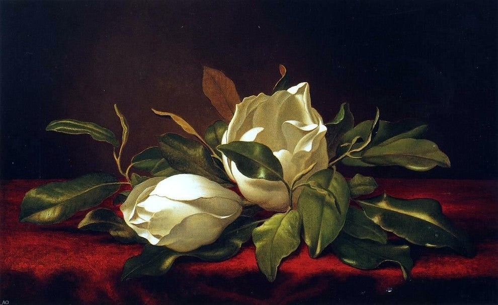 Martin Johnson Heade Magnoliae Grandeflorae, Gallery Wrapped Canvas, 18"x27"