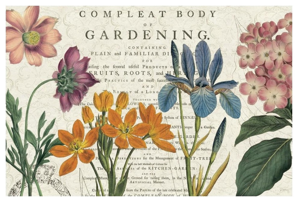 "Botany" Digital Paper Print by Sue Schlabach, 50"x34"