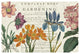 "Botany" Digital Paper Print by Sue Schlabach, 50"x34"