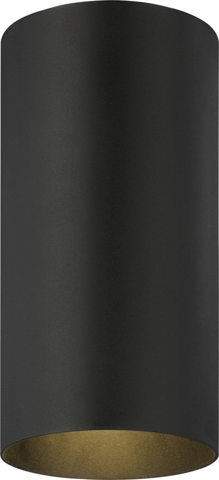1-Light Black Exterior Flush Mount