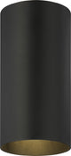 1-Light Black Exterior Flush Mount