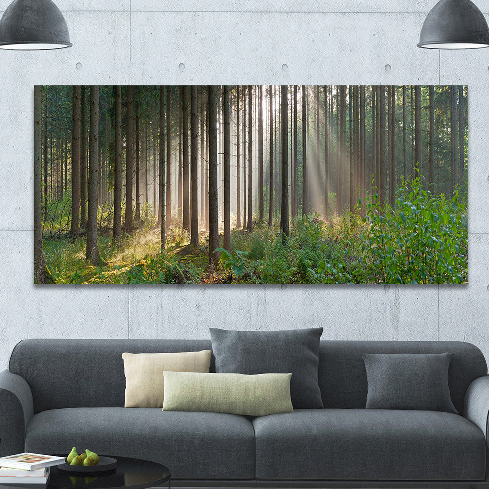 Green Forest in Mist Panorama, Large landscape Canvas Art Print, 60"x28"