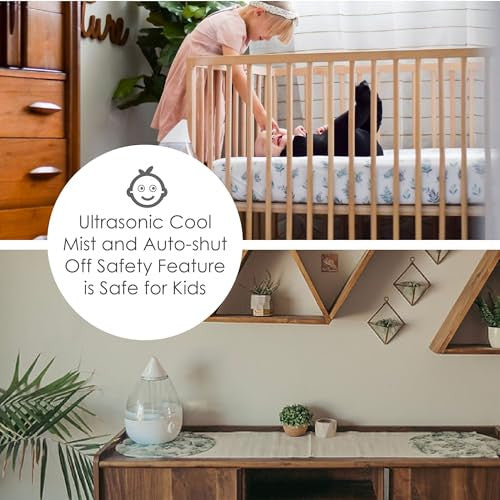 Ultrasonic Cool Mist Humidifiers, Clear and White