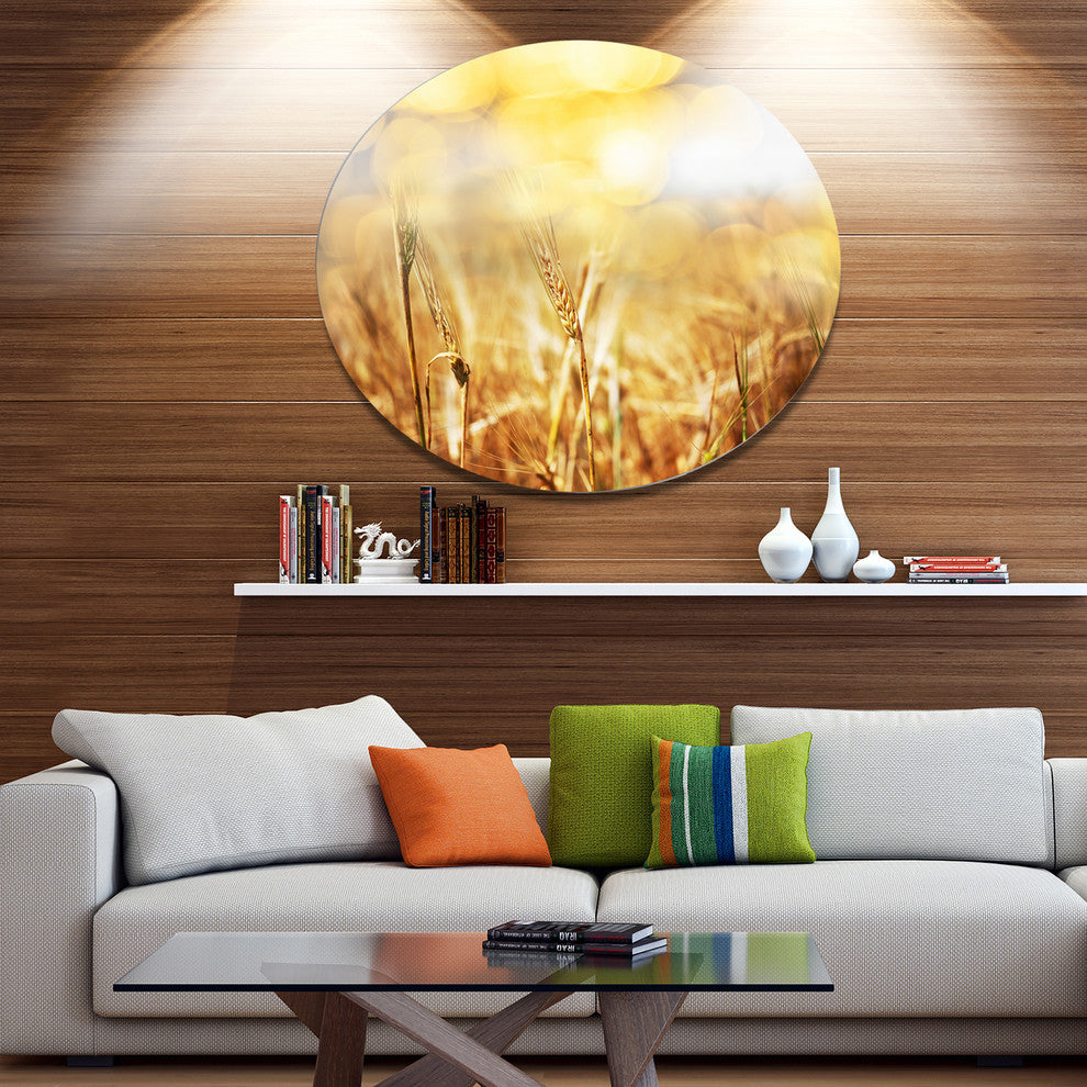 Brown Wheat Plants In Field, Floral Round Metal Wall Art, 23"