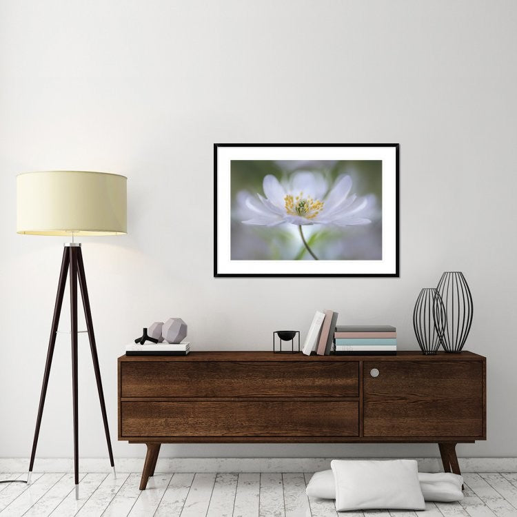 "Nemorosa Nirvana" Framed Digital Print by Mandy Disher, 44x32"