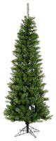 7.5' X 36" Salem Pencil Pine 679Tips