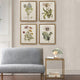 Madison Park Herbal Botany Framed Linen Canvas 4 Piece Set