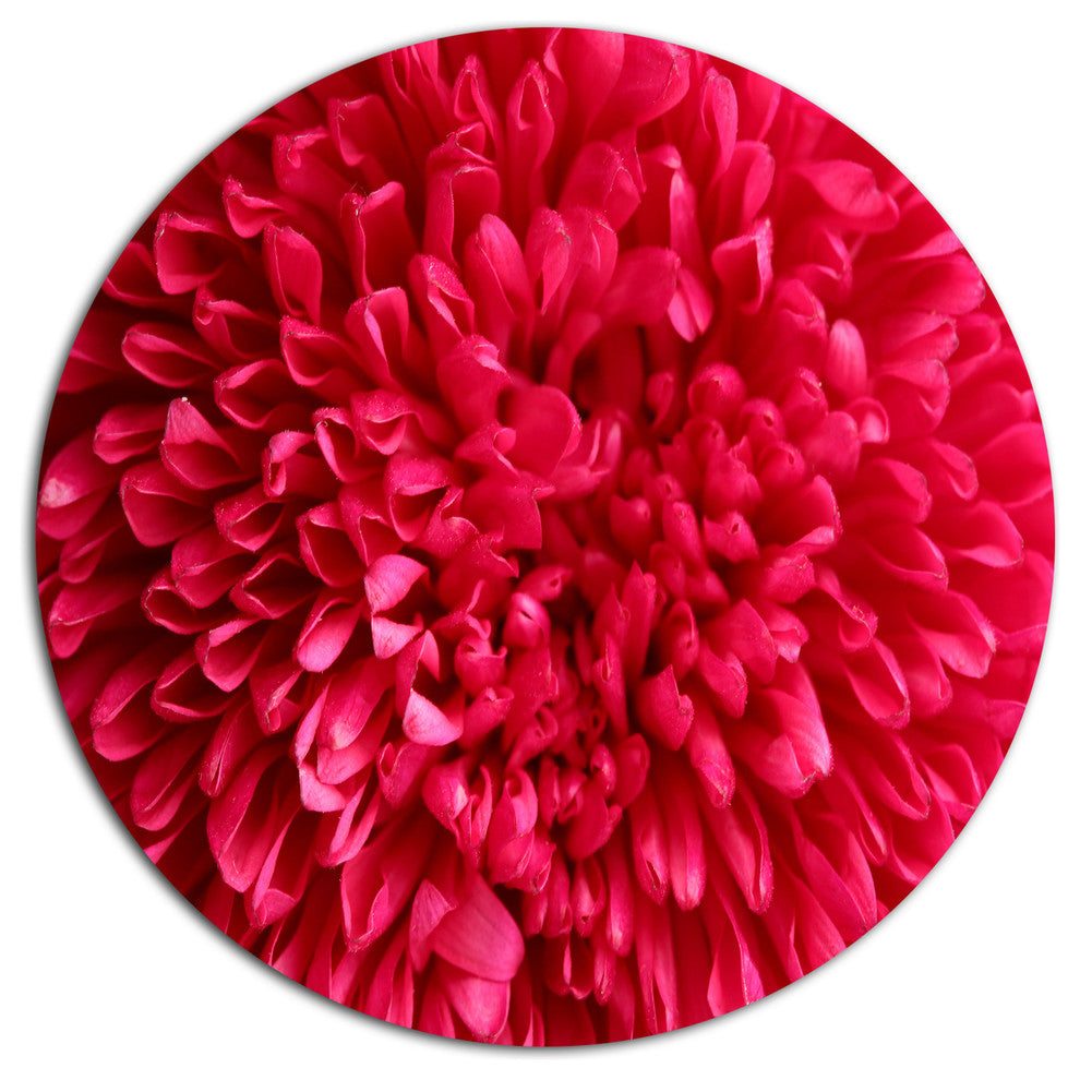 Pink Aster Flower Petals Close-Up, Floral Round Wall Art, 23"