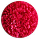 Pink Aster Flower Petals Close-Up, Floral Round Wall Art, 23"